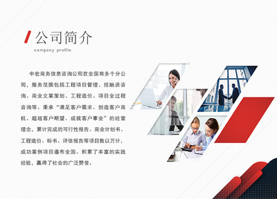 岳陽信息技術咨詢服務項目策劃與招商計劃書