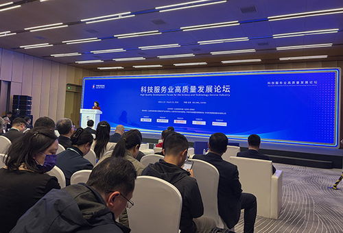 數智賦能 驅動未來 信息技術咨詢服務在2026中關村論壇年會上的新角色與使命